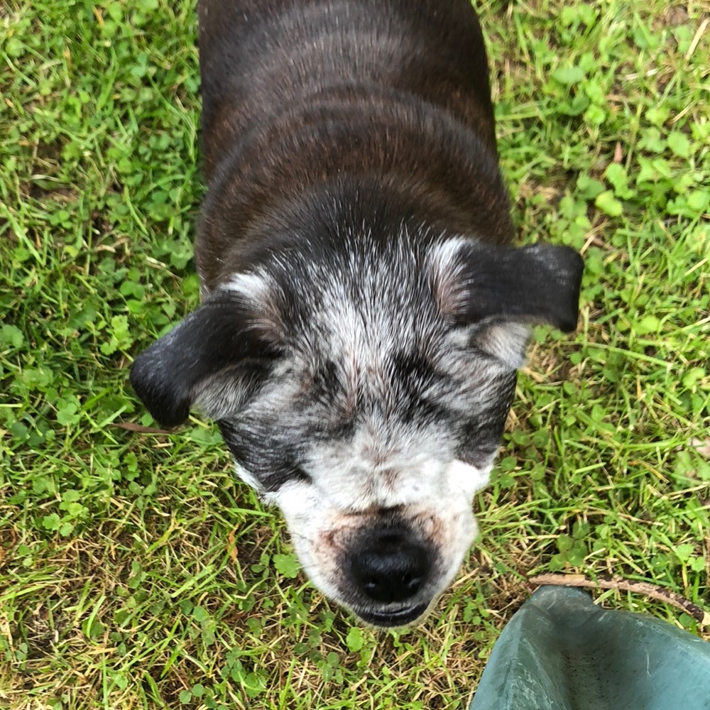 Meet your Posher, Amie